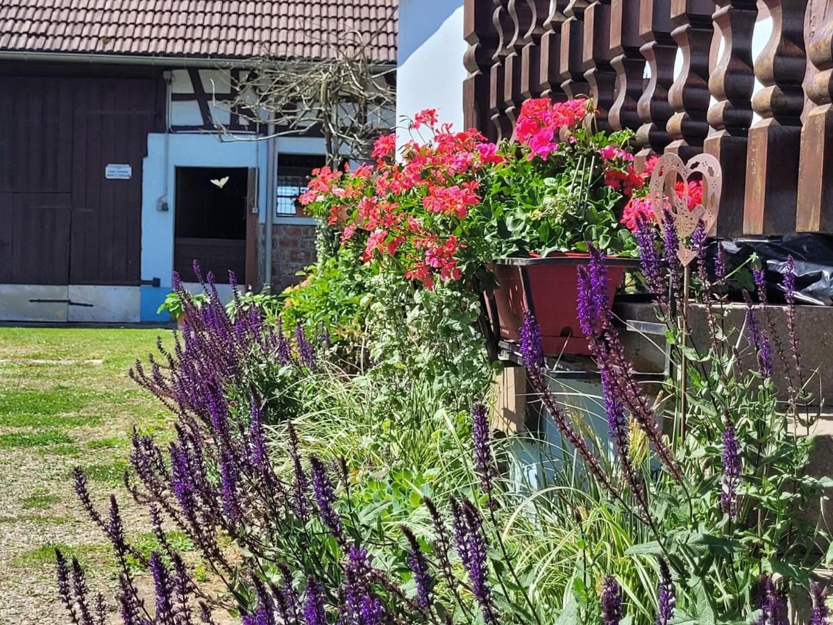Cosy Holiday Home In Schleithal With Garden Ngoại thất bức ảnh