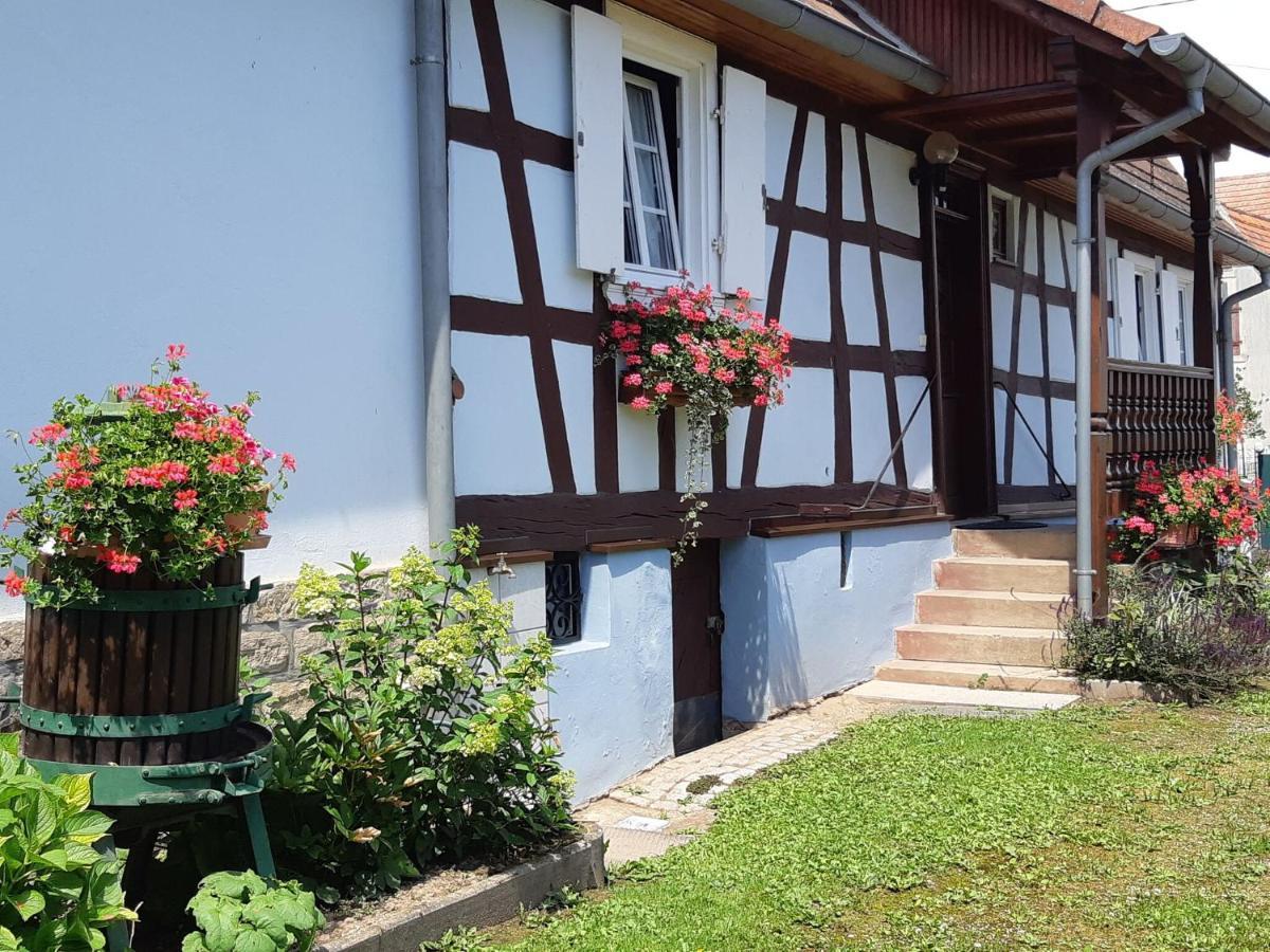 Cosy Holiday Home In Schleithal With Garden Ngoại thất bức ảnh