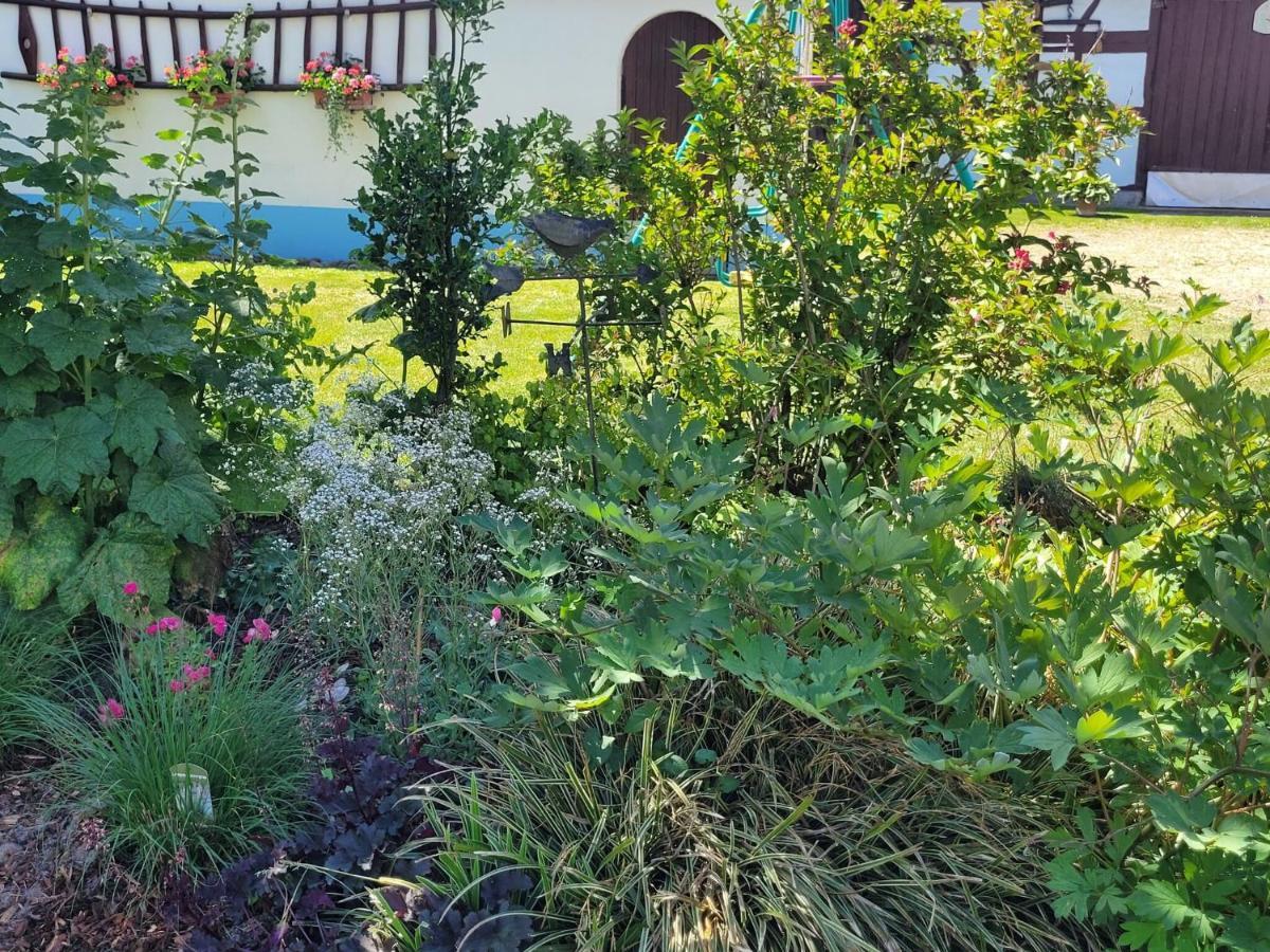 Cosy Holiday Home In Schleithal With Garden Ngoại thất bức ảnh