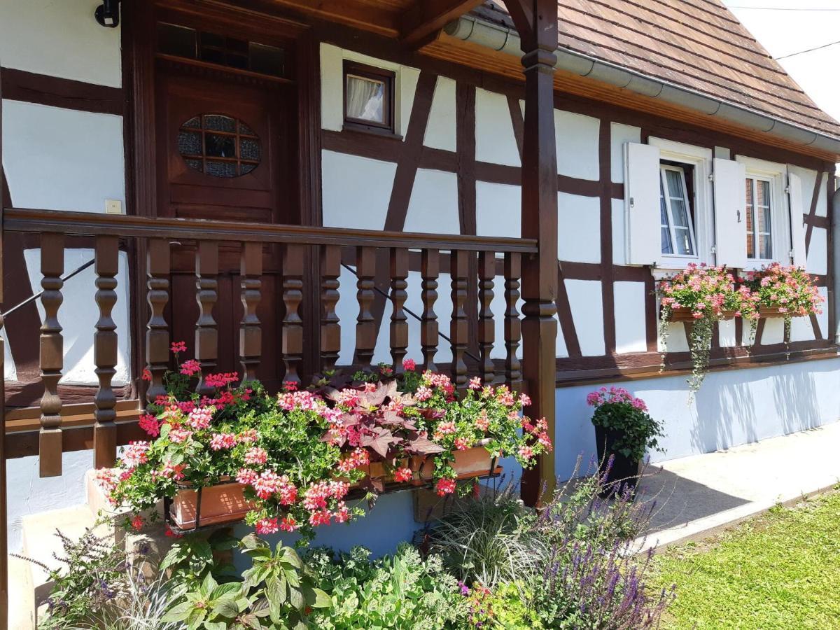 Cosy Holiday Home In Schleithal With Garden Ngoại thất bức ảnh